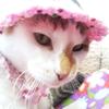 たぁちゃん313