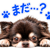 犬と僕
