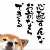 柴犬FX