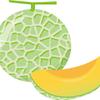 melon1