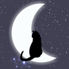 Mooncat｜ロゴ・チラシ