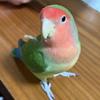 しーーーー05