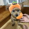 まりですよ