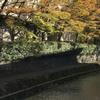 tsuta