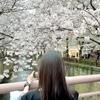 加賀 百合子
