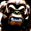 Gorilla_Studio