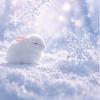 雪音　（旧ゆーちぃ）