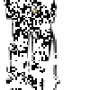 さめさん工房