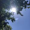 ポカポカ太陽