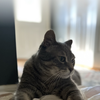 mari mari3
