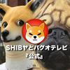 テレビ番組編集者KEI
