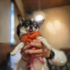 Ken0226