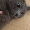なのはま