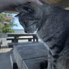 ゆあ【写真撮影】