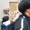 しゃーよっちゃん