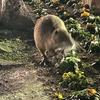 く。。