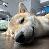 まぁぐ