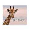 キリンさん＿＿