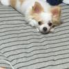 nonさん