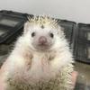 お花の相談所