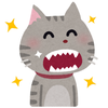 ポン子 PONNKO