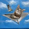 draw cat