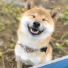 【シゲル】