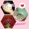 ひろんこ