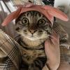 アベマン