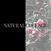 〜natural collage〜