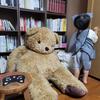 ふえた_法律資格多数