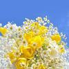 HANBLOOM_RECIPE