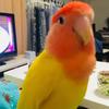 そらえる