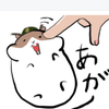 ぬーたん