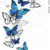 hibino_k1116