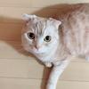 びすこ♪
