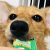相談窓口あるみ