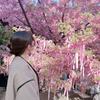 Myoshi3