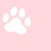 みゅーこ