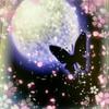 心愛✩ここあ