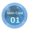skincool01
