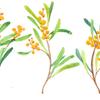 kioaki