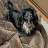 つむゆみ