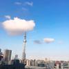 ぱおちょこ