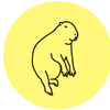 k_knn_2