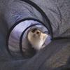 maru 0116