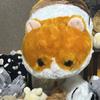 かなめいおり
