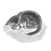 夢見猫 うかあ