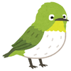 pipipi_egg