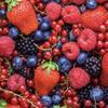 Berry the world